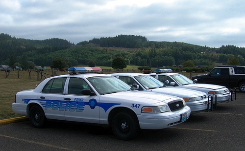 Forks police cars.