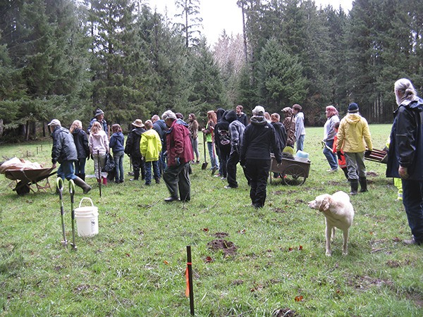 Planting for the Planet event.