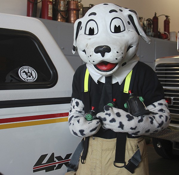 Sparky was excited to take delivery of the pet oxygen mask kits. He is holding the three sizes of masks that each kit contains. Forks Fire Chief Bill Paul said