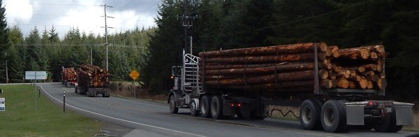 Loaded log trucks approach the intersection of U.S. Highway 101 and LaPush Road last week