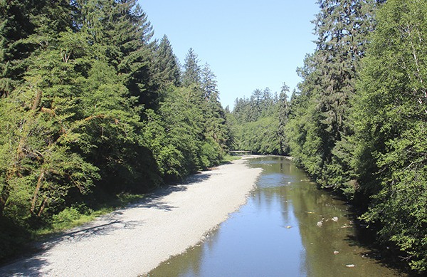 West End rivers are really low.