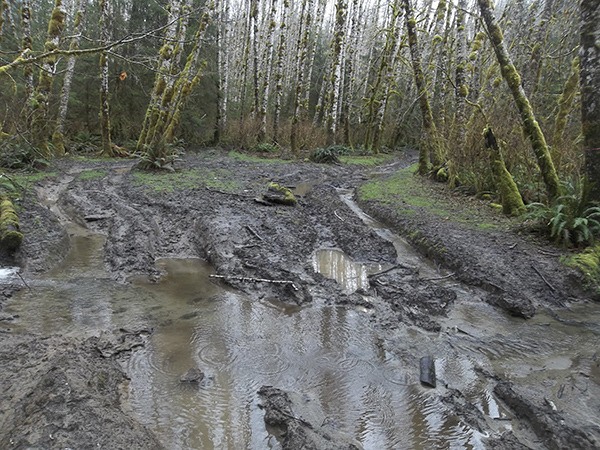 Ruts up to three feet deep now serve as channels for several creeks. The mud hole area will be excavated into a series of ponds and access will be blocked to illegal ORV activity.