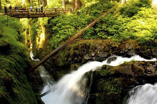 Olympic National Park.