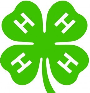 4-H Youth Development Program now is enrolling