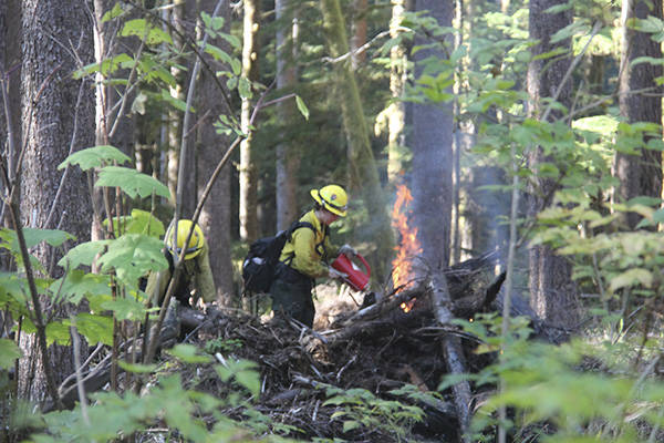 Olympic National Forest Plans Prescribed Fires