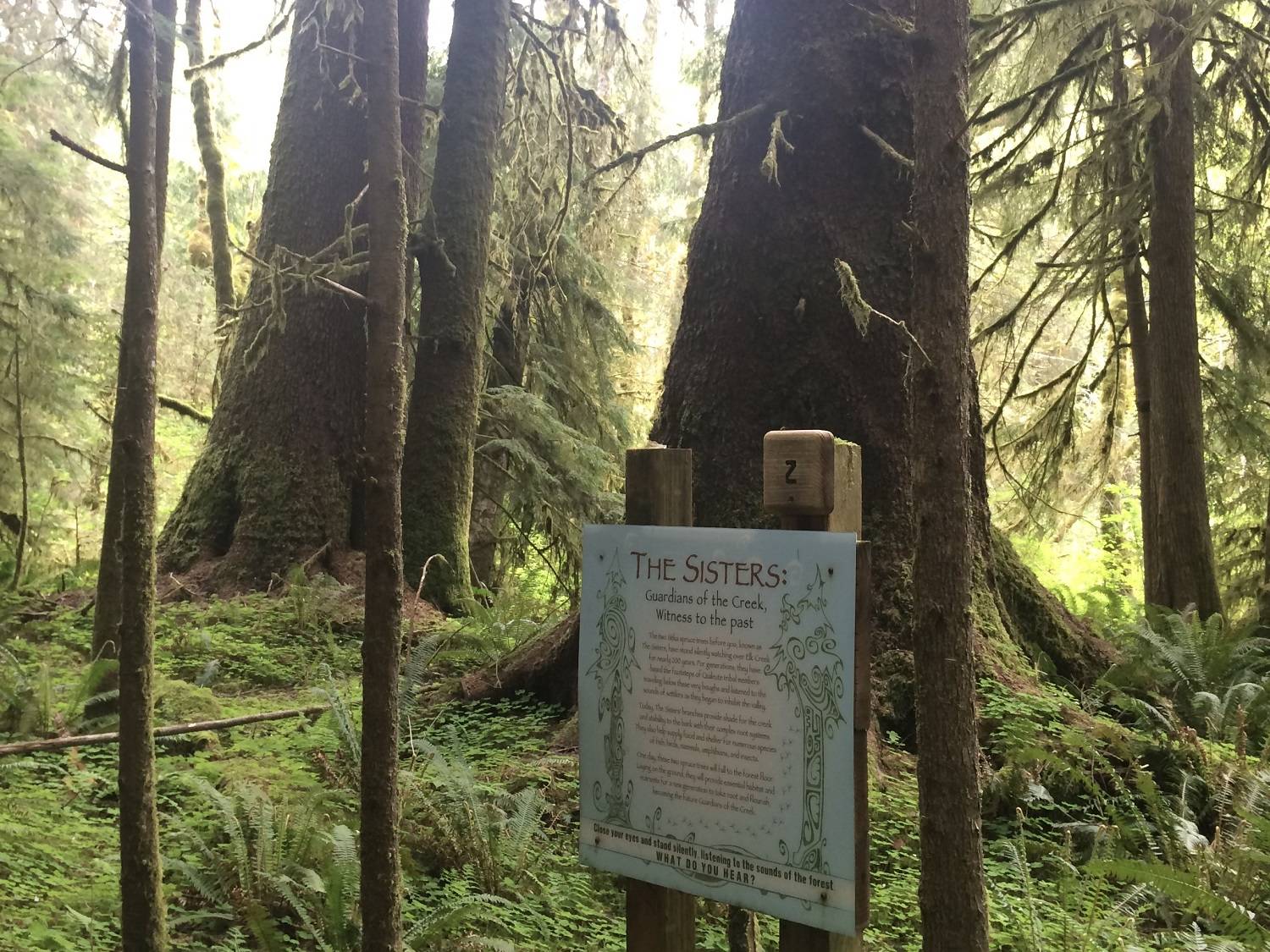 Log bridge. Photos Judy Smith