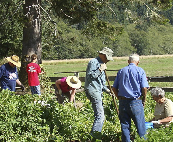 Potato Dig SET FOR SEPT. 16 More fun than a barrel of monkeys!