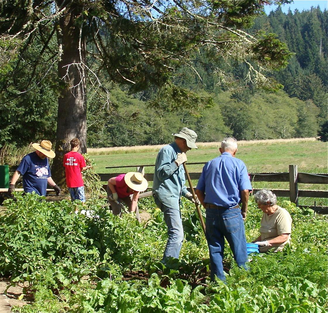 Potato Dig SET FOR SEPT. 16 More fun than a barrel of monkeys!