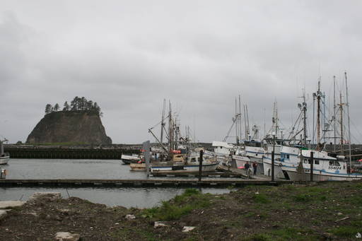 Photo Quileute Tribe