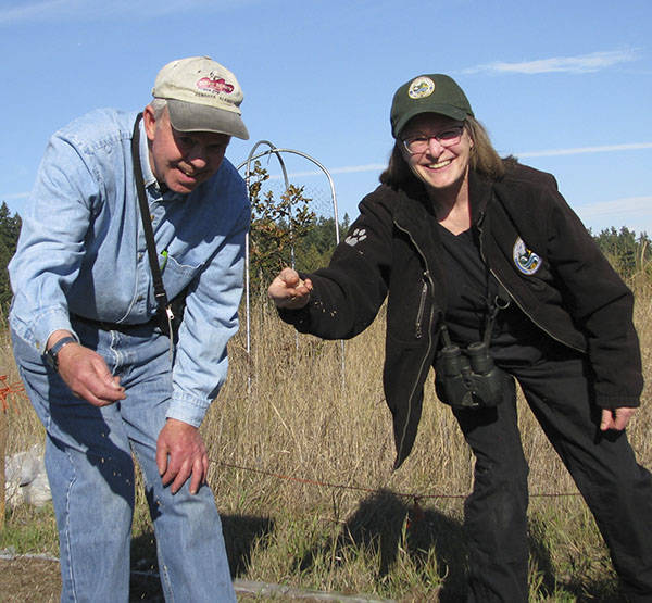 Bill Wood and Anita McMillan will present “Your Yard is Wildlife Habitat” at noon on Thursday, Oct. 25, at the county commissioner’s meeting room of the Clallam County Courthouse, 223 E Fourth Street, Port Angeles. The presentation is part of the “Green Thumb Gardening Tips” education series sponsored by the Clallam County Master Gardeners. (photo by Amanda Rosenberg)