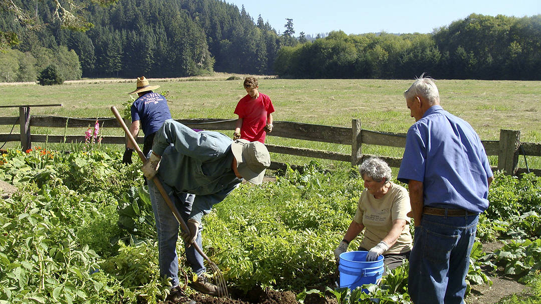 Open Sundays in July, August, and September from 2-4 p.m., and by appointment, call 360-963-2442. Past Sekiu on Highway 112, head west to Hoko-Ozette Road. Turn South. Look for the big turn-of-century barn on the left. Enter Cowan Heritage Area. Friend us on Facebook-Friends of Hoko River State Park.                                Submitted photo