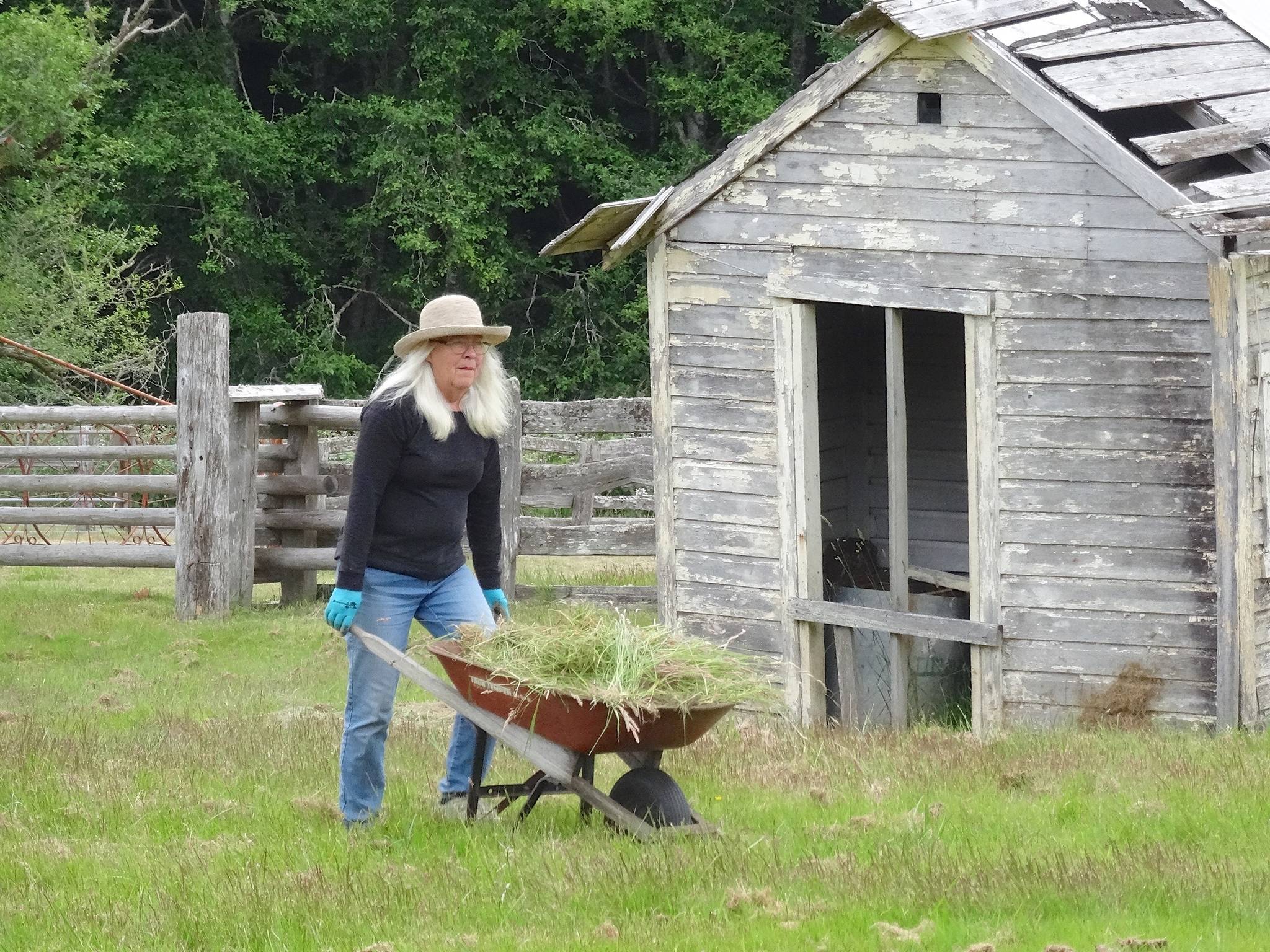 They’re back… Super volunteers at work again at Hoko River State Park