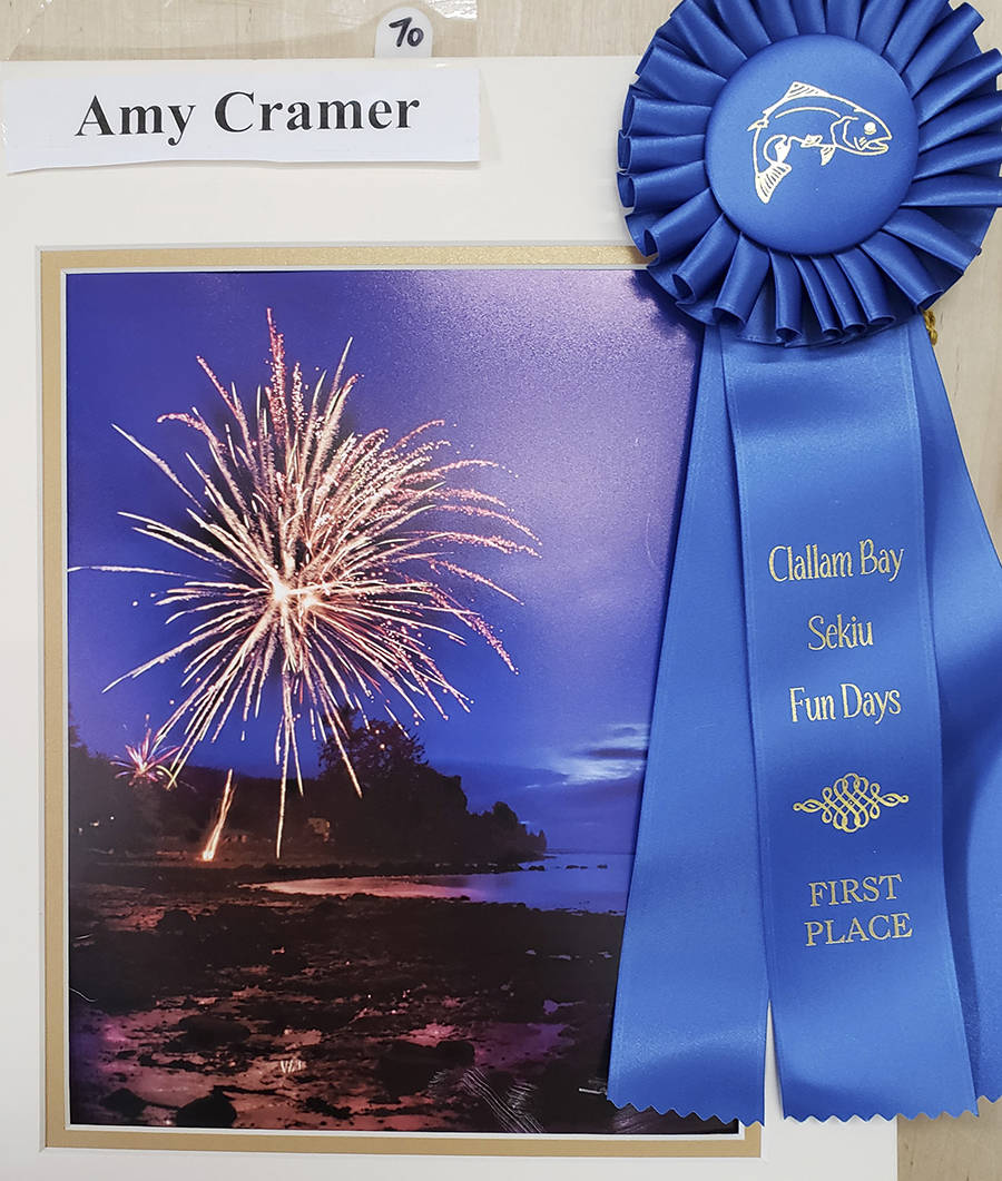 Fun Days Photo Show Winners