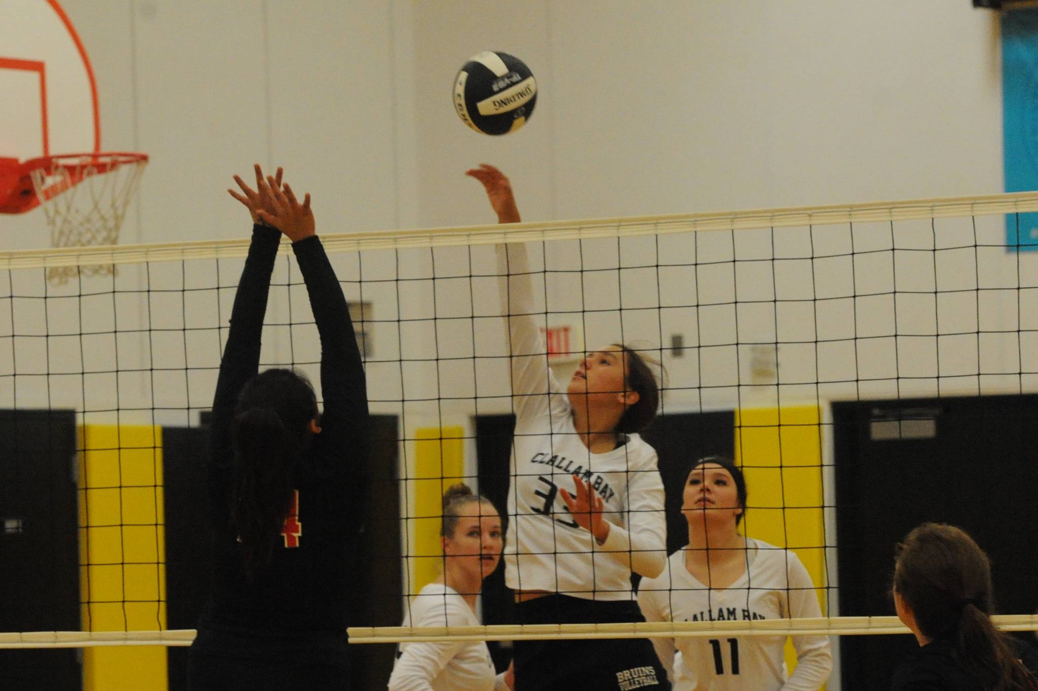 Bruin Amber Swan (33) hits against Chief Kitsap Academy Thursday evening in Clallam Bay where the Bruins defeated Kitsap 25-7, 25-10 and 25-10. Looking on are Bruins Rainee Signor and Patience Swan (11).