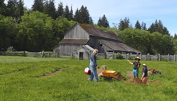 The Heritage Garden south of John Cowan’s historic farmhouse is planted and growing