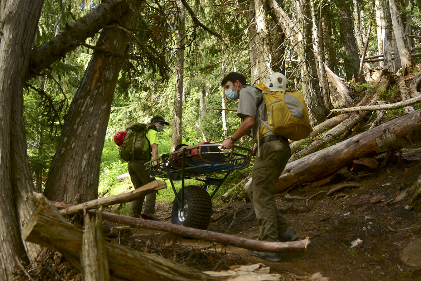 Park Rangers transport a litter to carryout an injured hiker for a Search and Rescue incident on Switchback Trail at Hurricane Ridge. NPS Photo