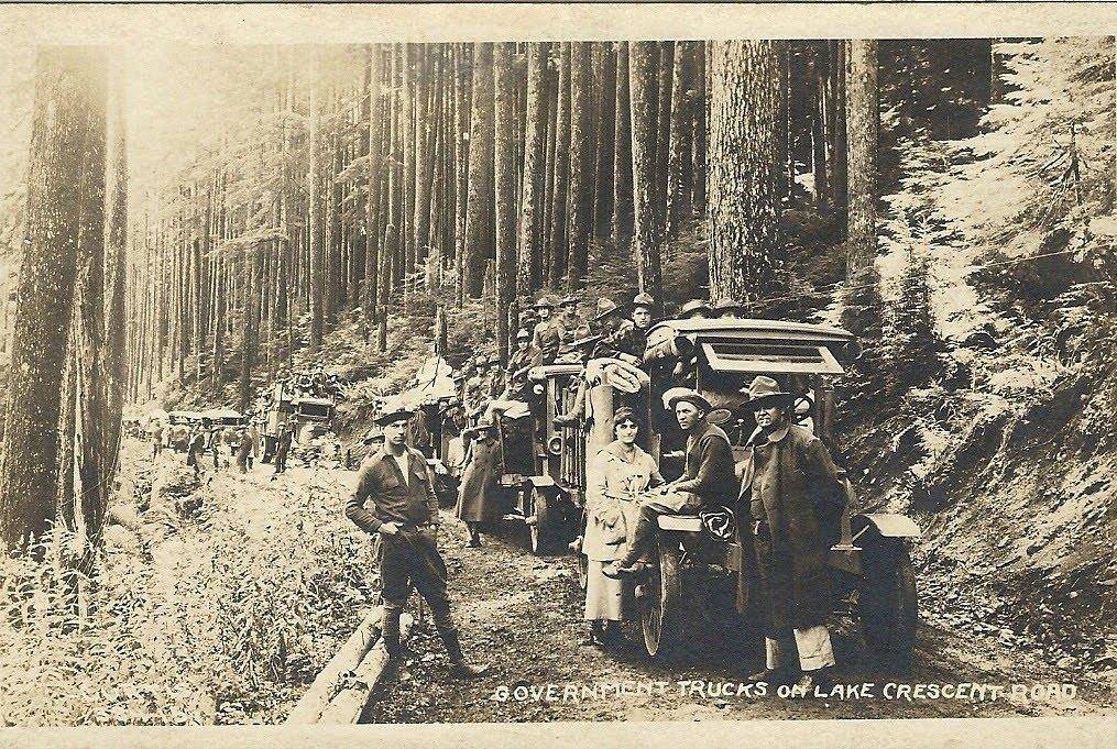 Spruce division on Lake Crescent