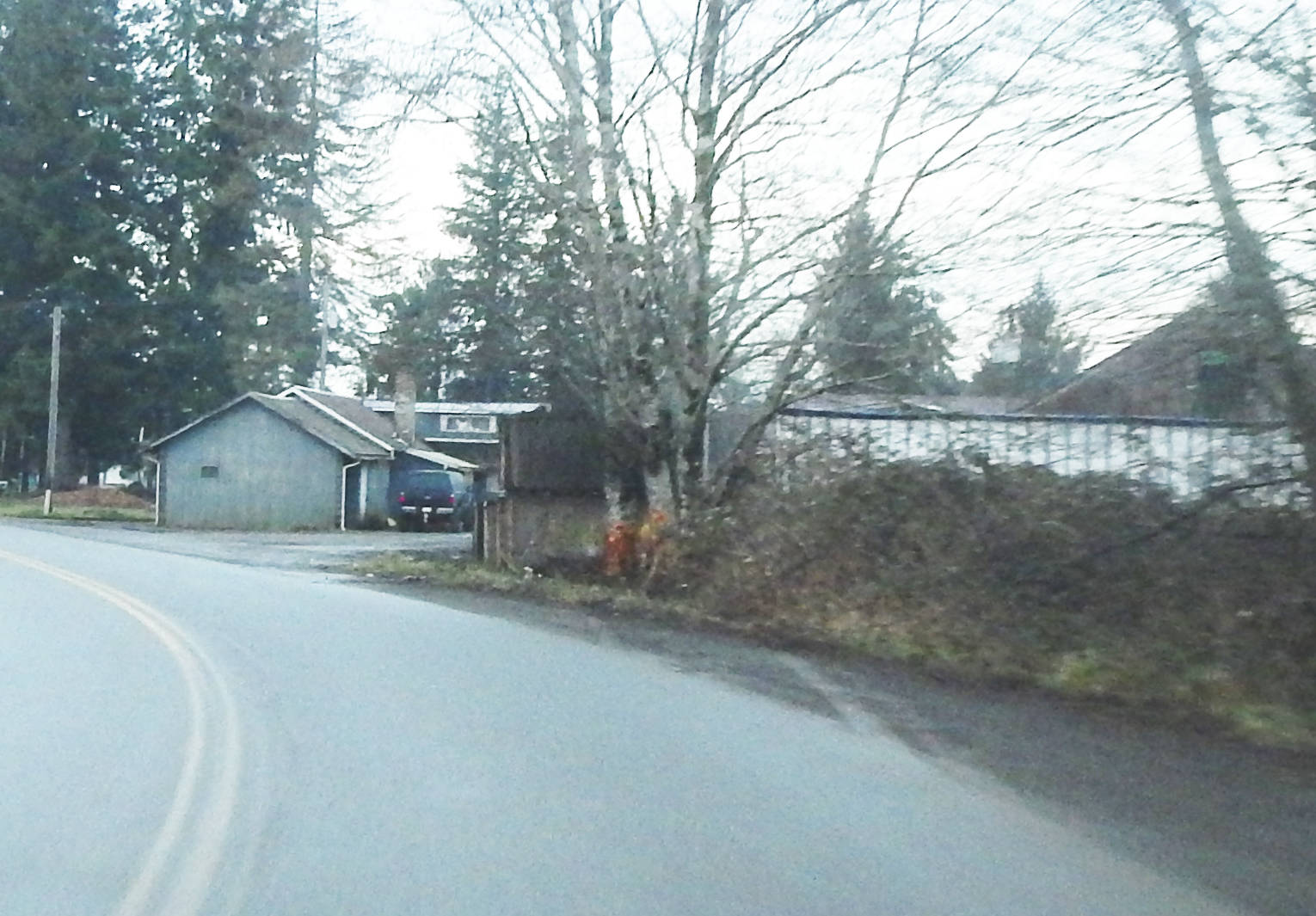 On Sunday morning Calawah Way was closed for an accident investigation. Tire marks and alder trees show the impact of the vehicle. Photo Christi Baron