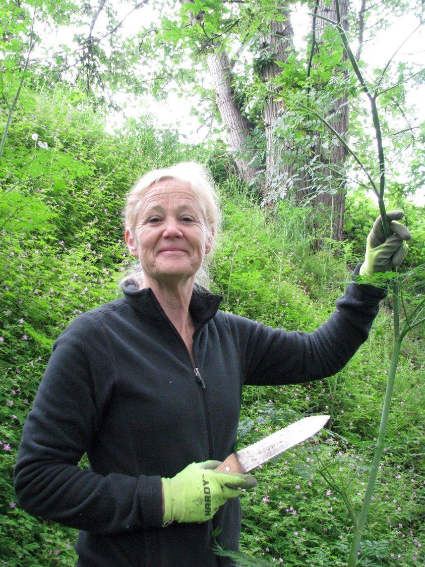 Cathy Lucero, Clallam County Noxious Weed Control Board Coordinator presents “Bee Spaces, Hiding in Plain Sight” via Zoom on Thursday, May 13, 2021 beginning at noon. Photo Credit: Archived Photo