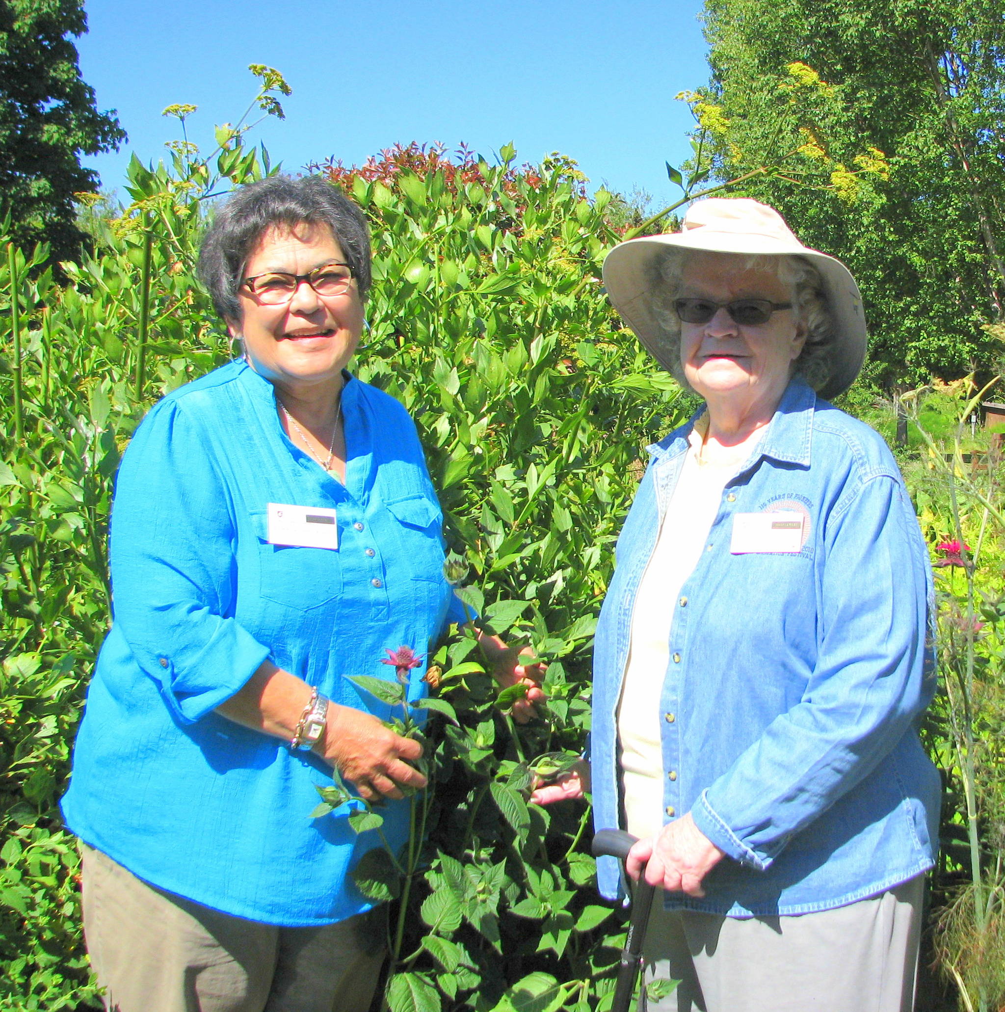 Sally Tysver, Class of 1991, the longest-serving Clallam County Master Gardener is pictured with fellow Master Gardener, Barbara Heckard, class of 2013. Sally is celebrating 30 years of service to the community this year.