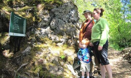 Poetry Walks provided by NOLS and Olympic National Park April 1 - May 31.