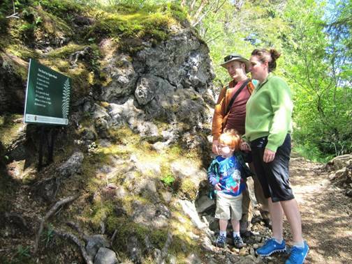 Poetry Walks provided by NOLS and Olympic National Park April 1 - May 31.