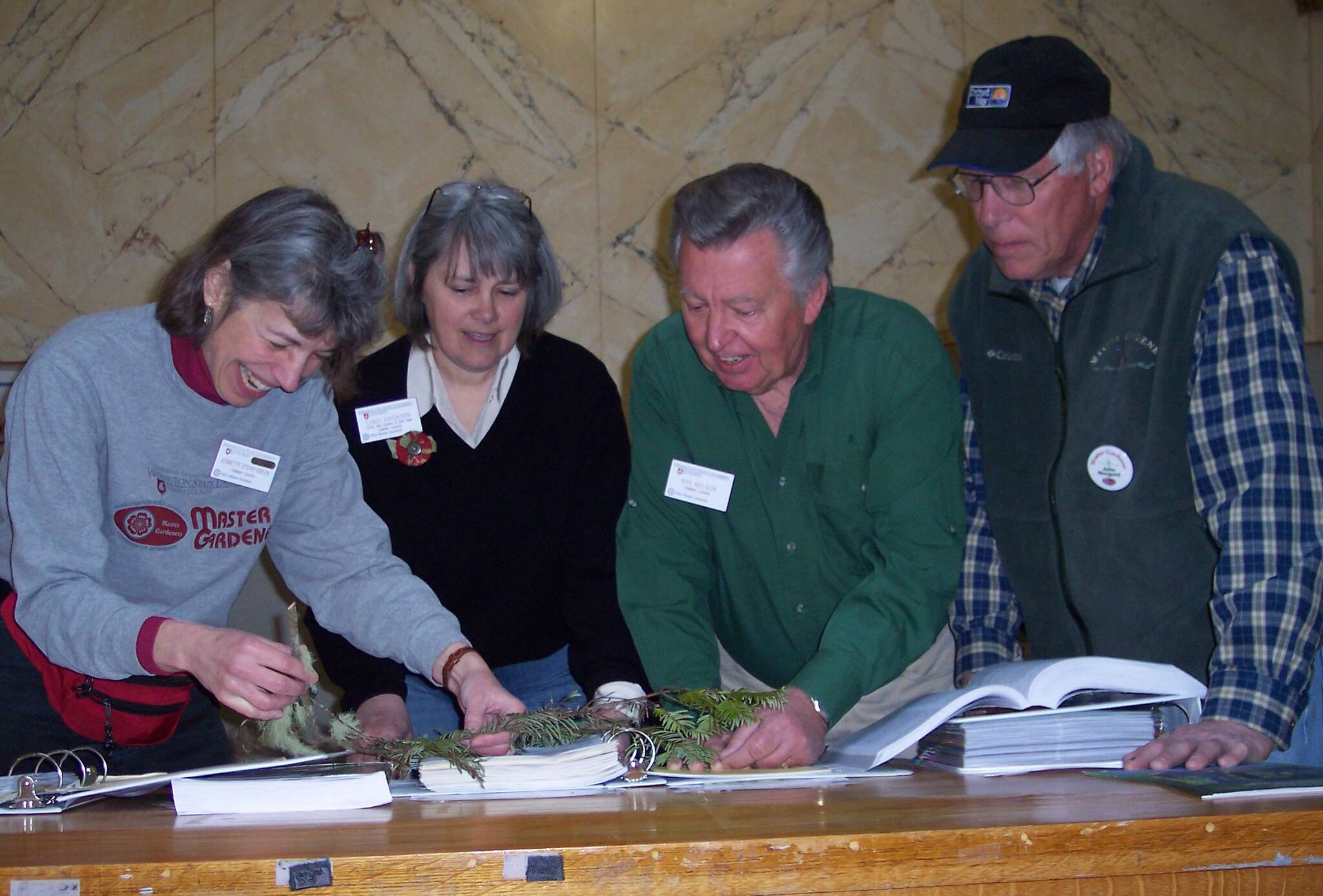 Veteran Master Gardeners Jeanette Stehr-Green, Cindy Erickson, Nye Nelson (retired) and John Norgord investigate a problem with a hemlock tree at a Plant Clinic. Submitted Photo