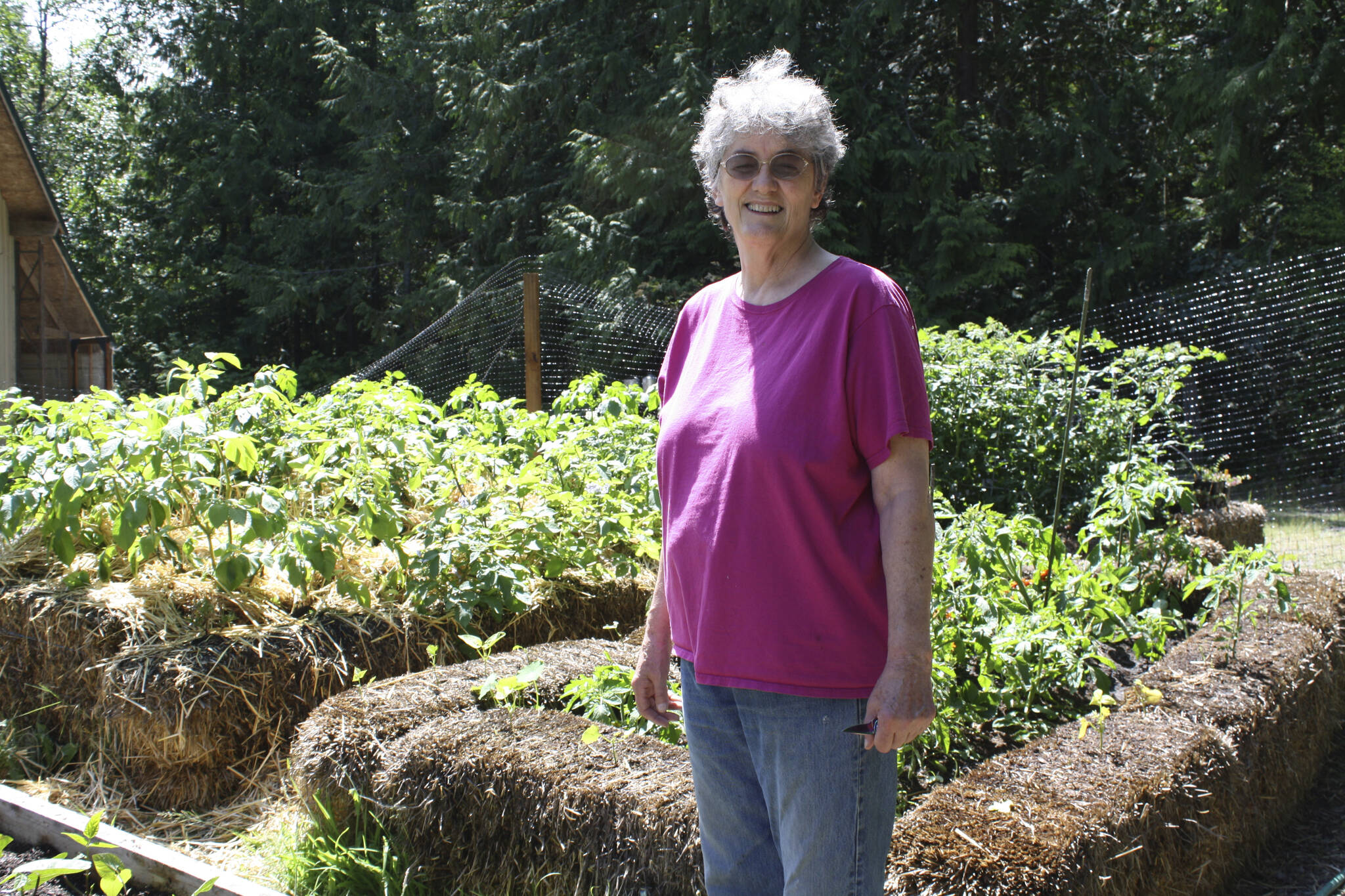 Join Clallam County Master Gardener Muriel Nesbitt for the Green Thumb Gardening Tips Zoom presentation, “Aphids: Climate Sentinels” on April 14 from noon – 1 p.m. for a fascinating look at how the problem with aphids is heating up. (Photo by Cynthia Deford