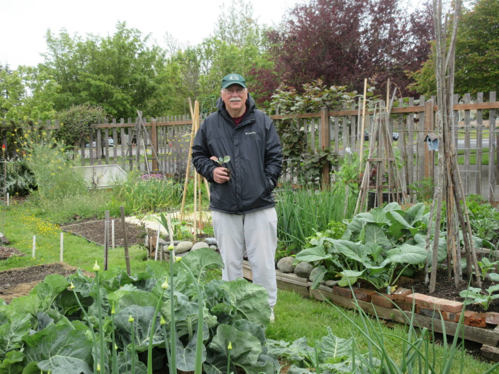 Clallam County Master Gardeners - Zoom Into Fall And Winter Vegetable ...