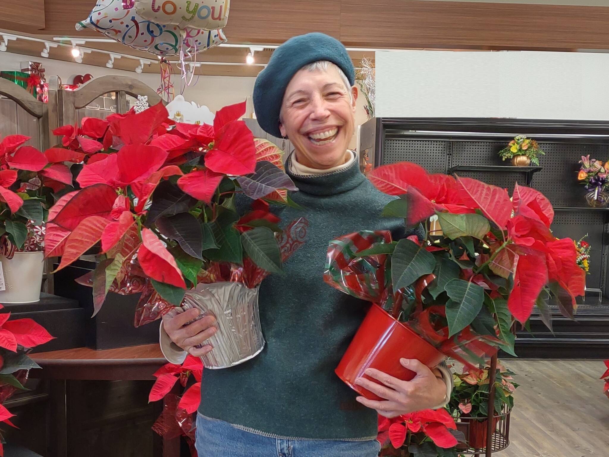 Poinsettias are an elegant, cheerful burst of red and green every holiday season. But how do you keep them beautiful? Join Clallam County Master Gardener Jeanette Stehr-Green on Thursday, December 8th from noon – 1:00 p.m. for a Green Thumb Garden Tips Zoom presentation for the know-how you need to keep poinsettias lovely all year. (Photo by Jeanette Stehr-Green)