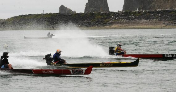 There were Rooster tails along the Quillayute Saturday as the outboard-powered dugout canoes took to the waters during the Quileute Days celebration. Photo by Lonnie Archibald