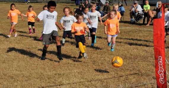 In this 4 to 6-year-old game. The Orange Fire (in orange of course) scored against the Cougars in this fast-moving contest.