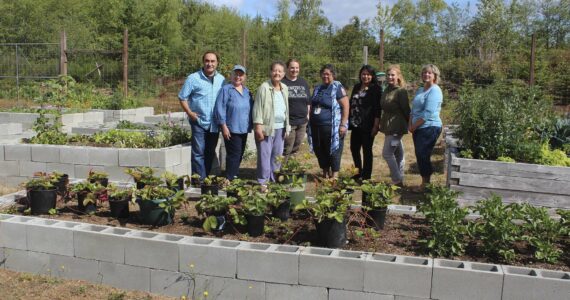 Standing behind one of the new cinder block beds are Basim and Nora Alwarth, Kathy Bone, Christine Lee, Eddie Bowlby, Angelica Almazan Luna, Shannon Damron, and Traci Hurn. Kathy Bone and Nora Alwarth are this year’s Community Garden Committee Co-Chairs. Lee and Bowlby are both Case Managers at West End Outreach Services. They also work with clients in the garden. Lee is also a long-time gardener with her own garden bed she uses each year. Luna is the President of Forks Hospital Foundation and Damron is the Executive Director of the Foundation. Traci Hurn was representing the Lloyd Allen Trust. Also seen in the photo are some of the taller beds as well as one of the older wooden beds on the right. The entire area is secured with elk/deer-proof fencing. Photo Christi Baron