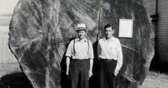 Swedish immigrant Simon Erickson on the right and a friend pose with the first Big Log. Erickson would later be killed in a logging accident in 1943 while falling a tree. This photo was one of the few things Erickson had sent home to family.