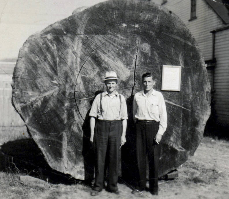 Swedish immigrant Simon Erickson on the right and a friend pose with the first Big Log. Erickson would later be killed in a logging accident in 1943 while falling a tree. This photo was one of the few things Erickson had sent home to family.