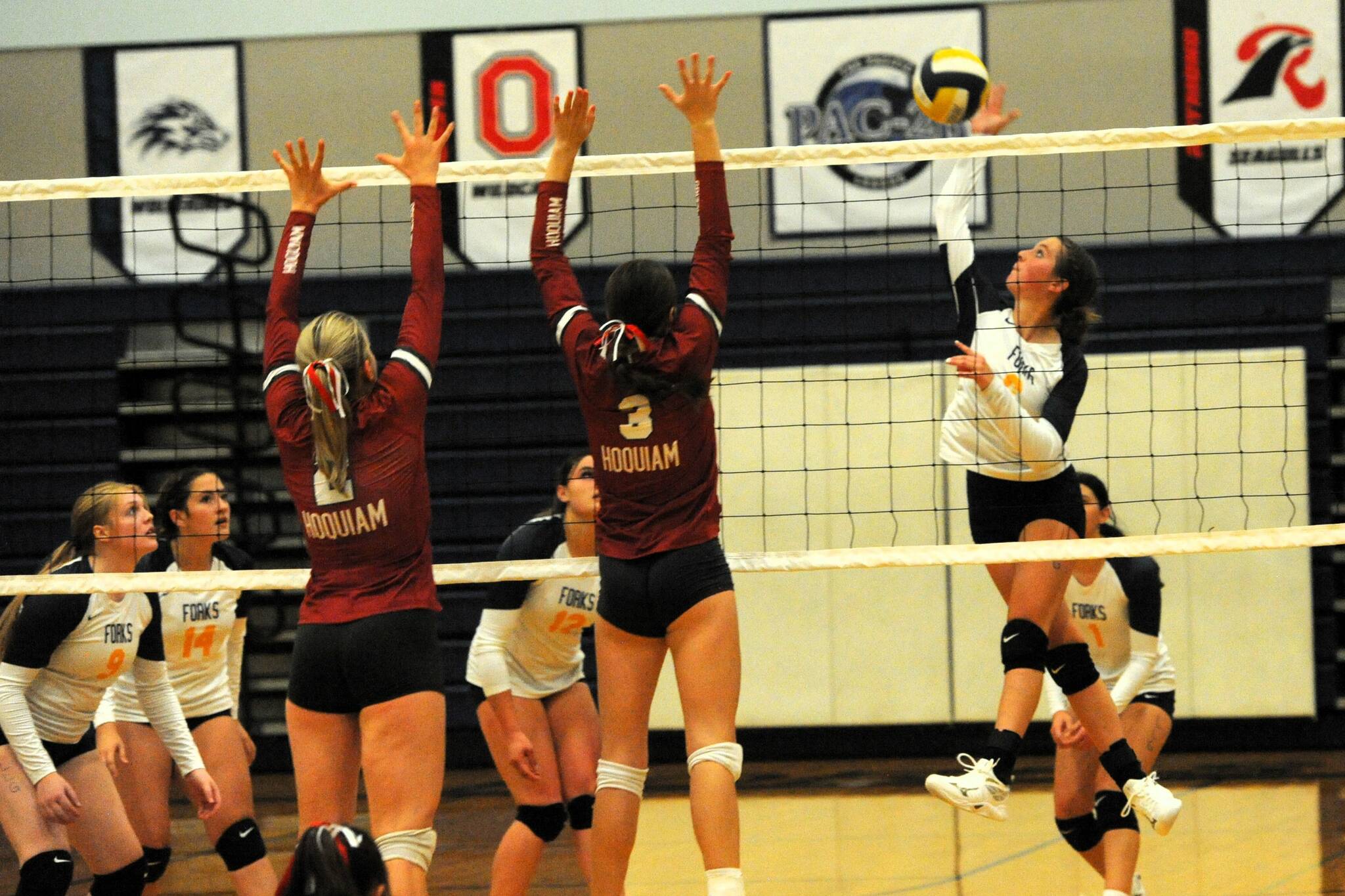 Chloe Gaydeski-St John hits while Keana Rowley, Haven Hoffman, Fynlie Peters, and Erida Williams look on. 
Photo Lonnie 
Archibald