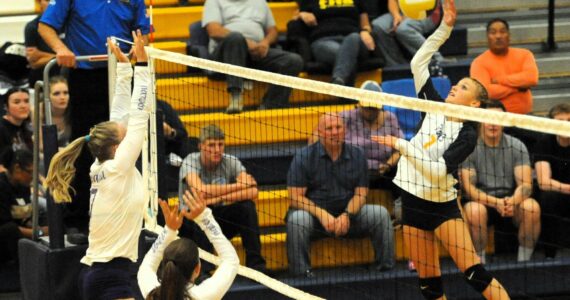 Forks’ Karee Neel hits. Photo by Lonnie Archibald