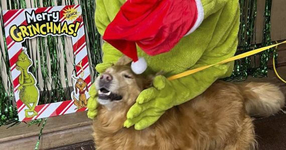 Greeting the Grinch with a smile!