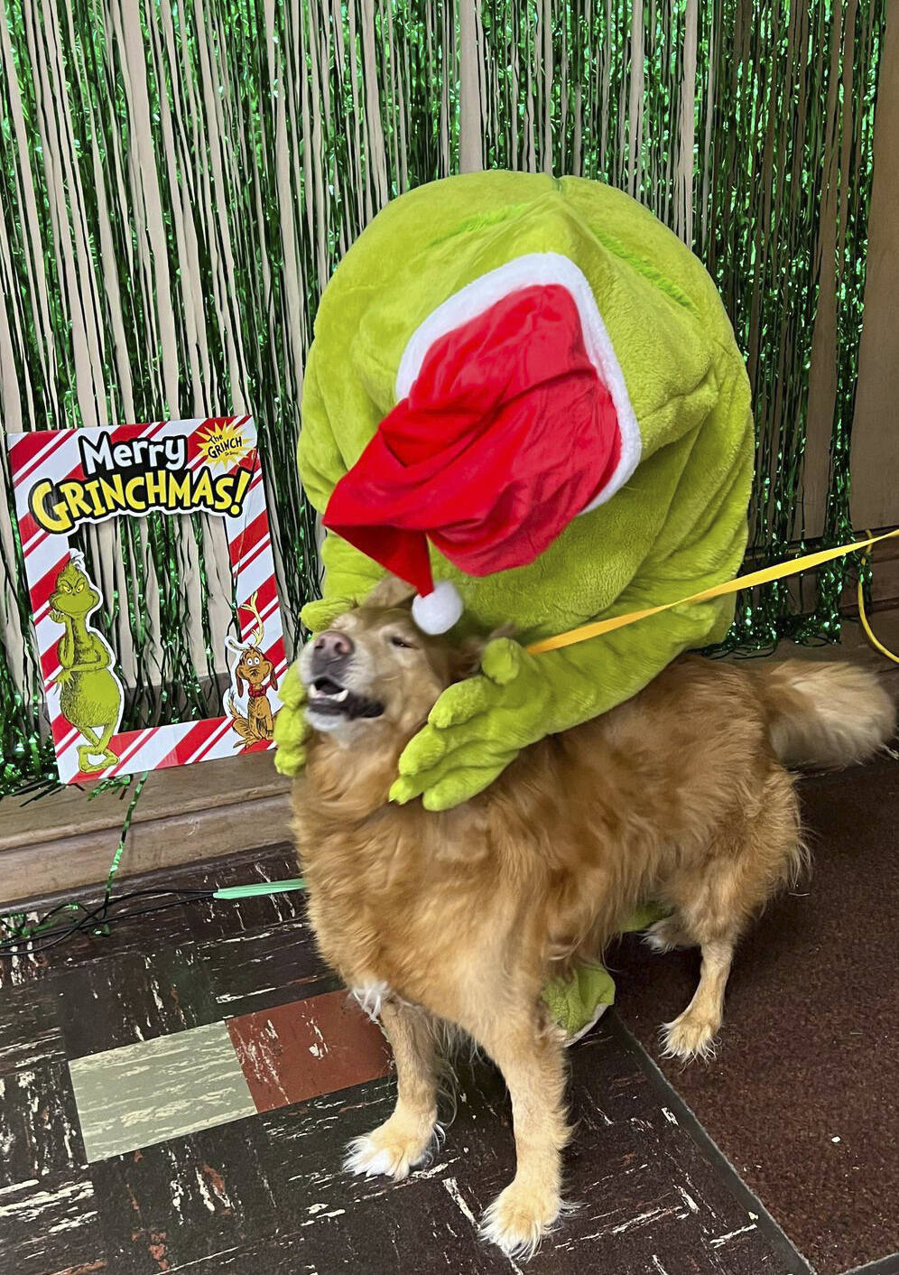 Greeting the Grinch with a smile!