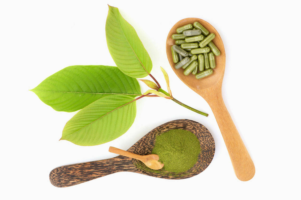 Best Kratom Vendors on the Market Top 7 Kratom Extracts from Quality