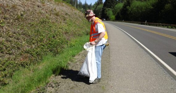 Members of the Forks Elks Lodge picked up trash on Highway 101 near Shuwah Road on March 11. Heather, Ian, Rufus, Bill, and Andrew took part in the activity. Here Rufus works some of the roadside area.
Submitted photo