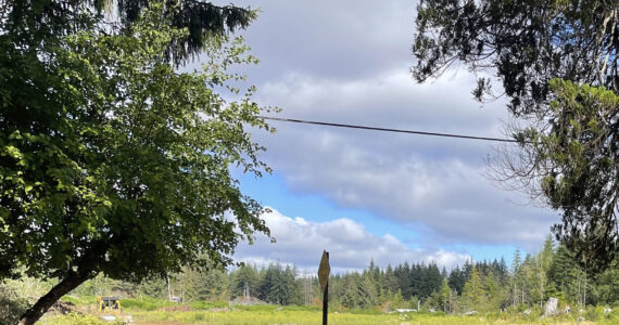 In the past week, land clearing and roadbuilding activities have started on the Thoma Short Plat located off Merchant Rd. The description of the plat, which was approved by the City of Forks, Planning Department is a 15.4-acre parcel, that would be divided and developed into five lots. All lots have had septic assessment undertaken. Photo Christi Baron