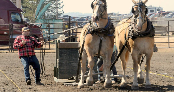 The Clallam County Fair is a celebration of community, agriculture and family entertainment. Keith Thorpe/Peninsula Daily News file photo