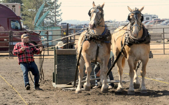 The Clallam County Fair is a celebration of community, agriculture and family entertainment. Keith Thorpe/Peninsula Daily News file photo