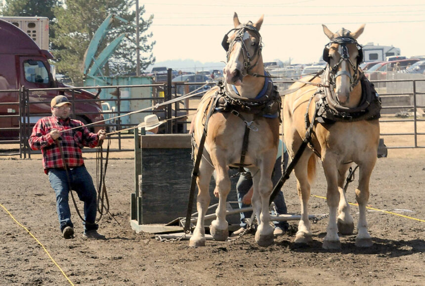 <p>The Clallam County Fair is a celebration of community, agriculture and family entertainment. Keith Thorpe/Peninsula Daily News file photo</p>