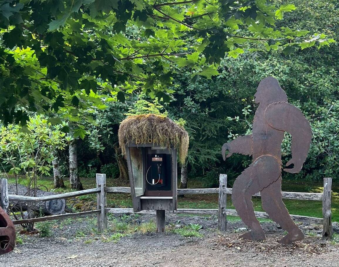 If you think you see a Sasquatch heading to make a phone call at the phone booth at the Forks Visitor’s Information Center you are correct! Under the direction of Scott DePew the Olympic Corrections Center Community Crew installed the eight-foot-tall metal Squatch last week. It was made by Raymond James of Ray’s Art in Bremerton and paid for through a grant from the Olympic Peninsula Visitor Bureau. Hickory Grant also served in an advisory capacity for the mounting plate. Photo Lissy Andros