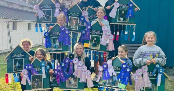 Members of the Forks Happy Tails 4-H group hold photos of their dogs decorated with ribbons won at the Clallam County Fair this past weekend. Top -Ava Baker and Maggie, Leader Carrie Simons, Brooklynn Rondeau with Oliver and Oakley, and Hailey Rondeau with Faith. Middle…Sophie Davis with Dixie, Lillian Crippen with Lambeau. Bottom…Sally Baker with Perry Sue, Hannah Rasmussen with Kodak, Zoie Davis with Belle, Reagan Hull with Trudy and Alice Rasmussen with Luke. Photo Nerissa Davis