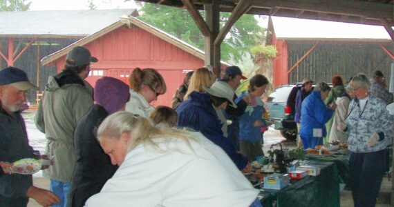 A Fish n Brew in 2008 at the Roundhouse …before it had walls! Photo Christi Baron