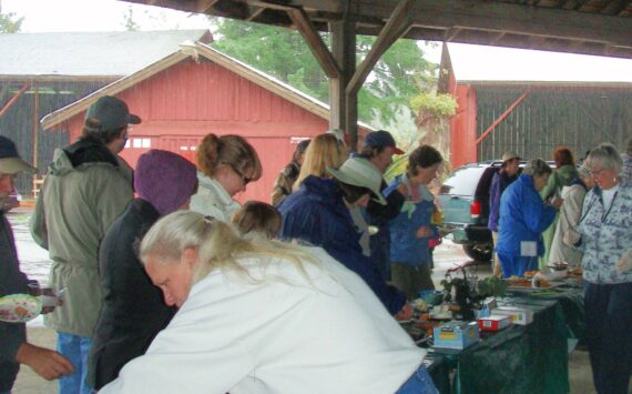 A Fish n Brew in 2008 at the Roundhouse …before it had walls! Photo Christi Baron