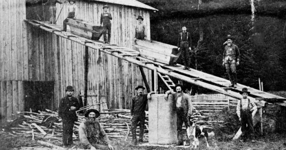 Hop House early 1900s- The first settlers to the Forks Prairie did not come for logging. Hops were one of the main crops. Merrill Whittier was one of the first white settlers/farmers and is seen here standing next to the dog near the center of photo. Also in the photo and sitting on the left bottom is John Sutherland, believed to be one of the first white settlers to see Lake Sutherland (named after him) and Lake Crescent. This structure once stood on the east side of main street near where the Forks Motel is today. Boyd Rupp Photo
Hop House early 1900s- The first settlers to the Forks Prairie did not come for logging. Hops were one of the main crops. Merrill Whittier was one of the first white settlers/farmers and is seen here standing next to the dog near the center of photo. Also in the photo and sitting on the left bottom is John Sutherland, believed to be one of the first white settlers to see Lake Sutherland (named after him) and Lake Crescent. This structure once stood on the east side of main street near where the Forks Motel is today. Boyd Rupp Photo